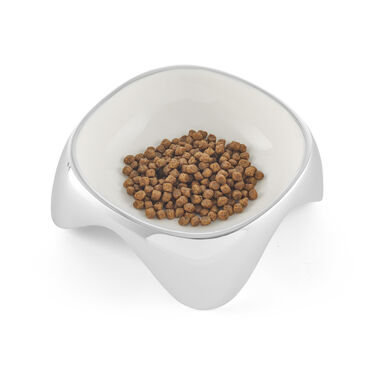 Pet Bowl - Medium