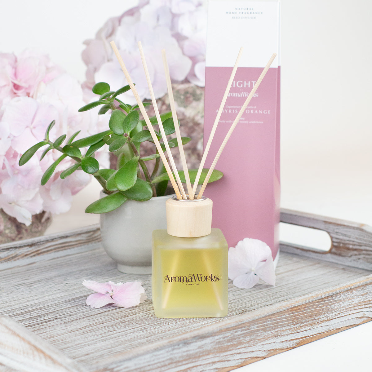 Light Small Reed Diffuser - Amyris & Orange image number null
