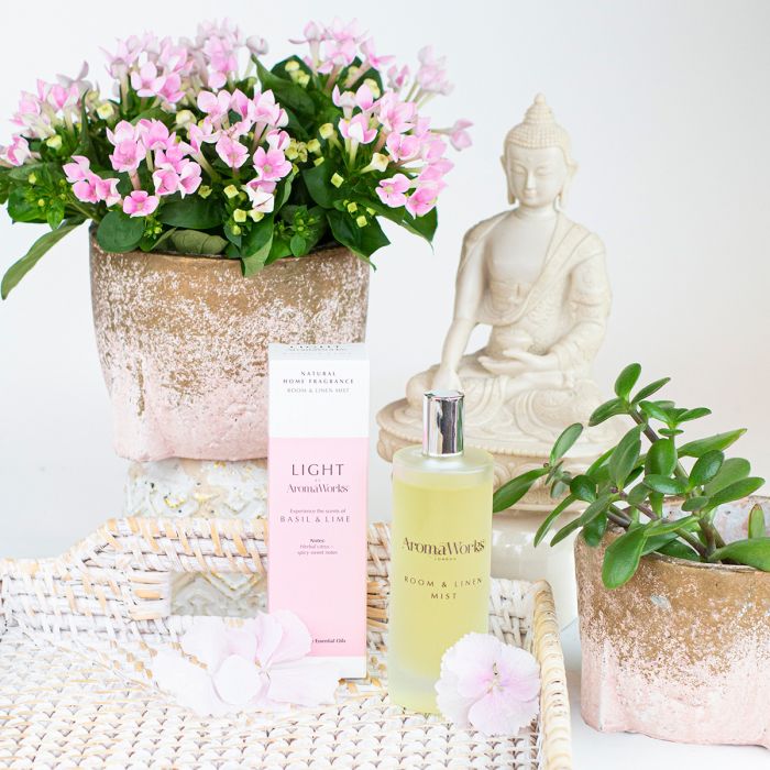 Light Room and Linen Mist - Basil & Lime image number null