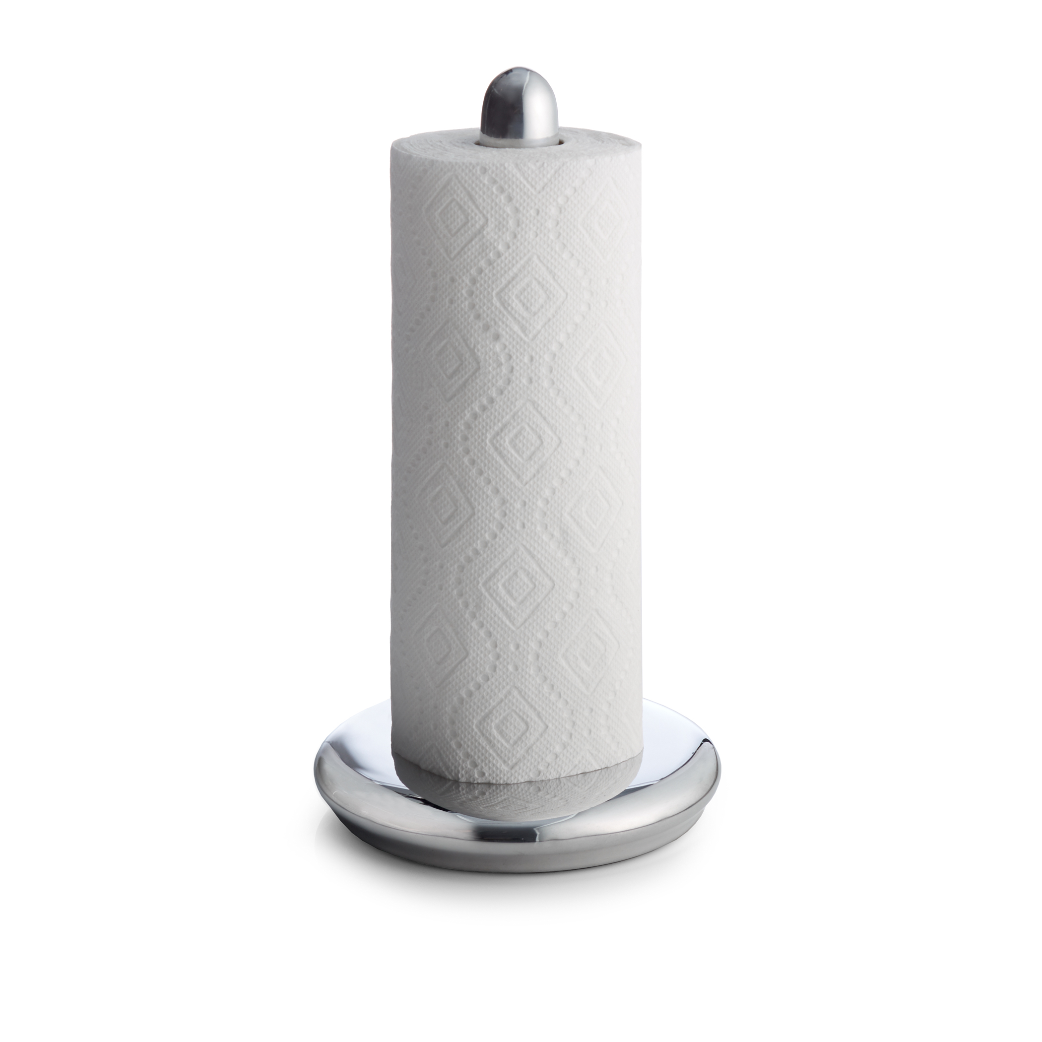 Stainless Steel Paper Towel Holder